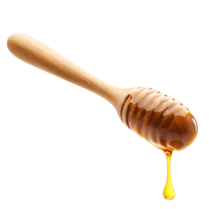 Wooden Honey Dipper